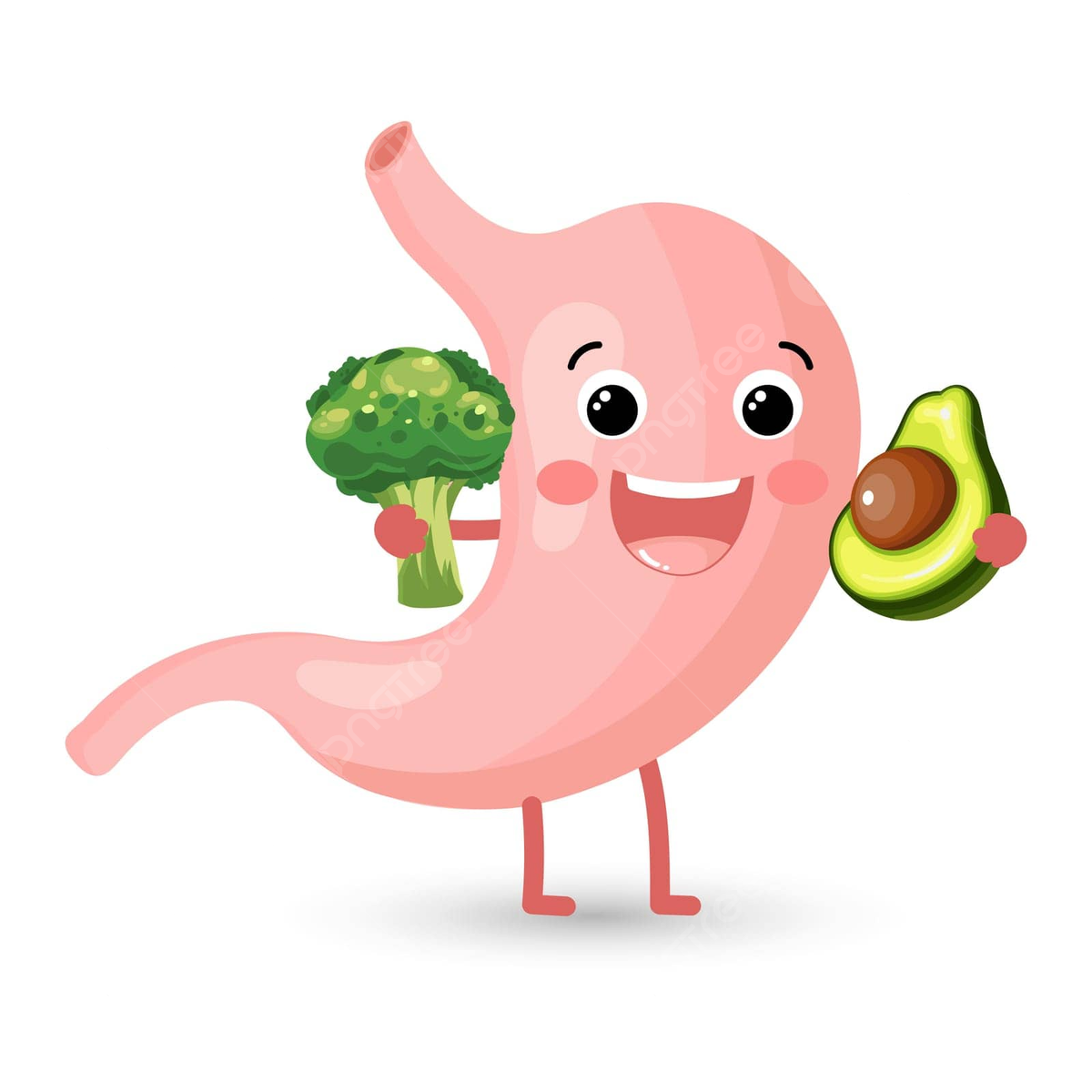 pngtree-cartoon-icon-design-of-a-robust-and-cheerful-stomach-with-broccoli-png-image_12899789.png